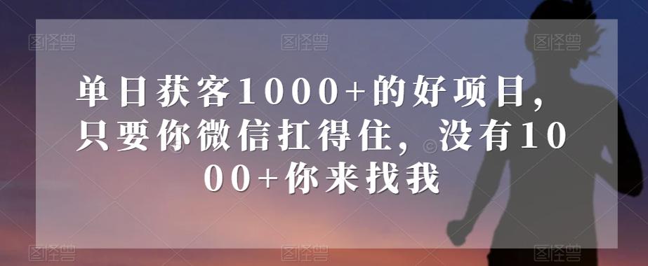 单日获客1000+的好项目，只要你微信扛得住，没有1000+你来找我【揭秘】-俗人圈网创