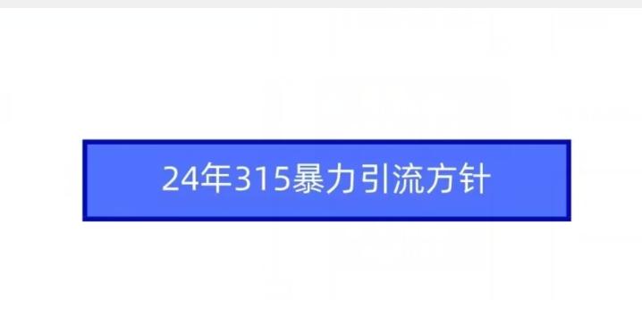 24年315暴力引流方针-俗人圈网创