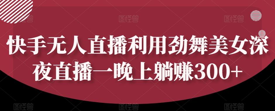 快手无人直播利用劲舞美女深夜直播一晚上躺赚300+-俗人圈网创