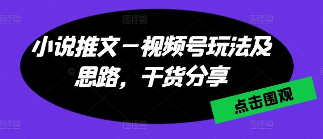 小说推文—视频号玩法及思路，干货分享-俗人圈网创