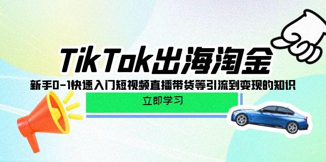 (10035期)TikTok-出海淘金,新手0-1快速入门短视频直播带货等引流到变现的知识-俗人圈网创