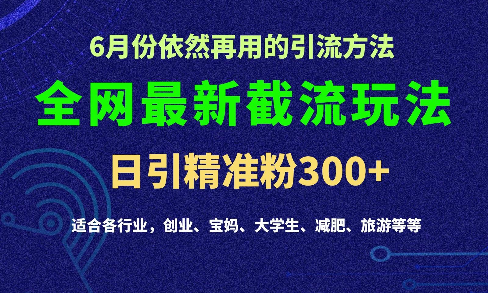 2024全网最新截留玩法,每日引流突破300+-俗人圈网创