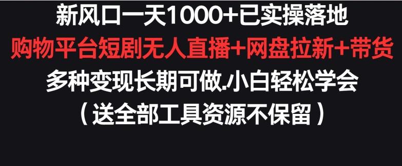 新风口一天1000+已实操落地购物平台短剧无人直播+网盘拉新+带货多种变现长期可做【揭秘】-俗人圈网创