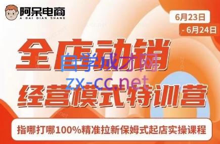 阿呆电商·全店动销经营模式特训营(线下录音+思维导图)-俗人圈网创