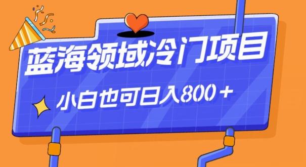 蓝海领域冷门赛道，一单39.9，日入800＋-俗人圈网创