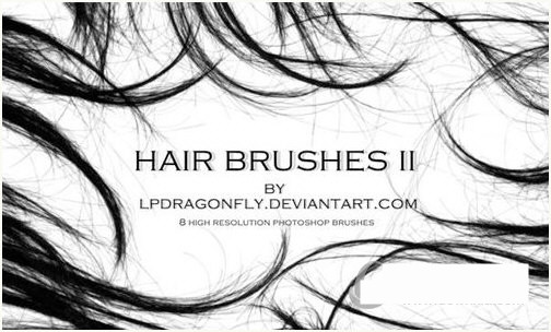 PS发丝笔刷-俗人圈网创