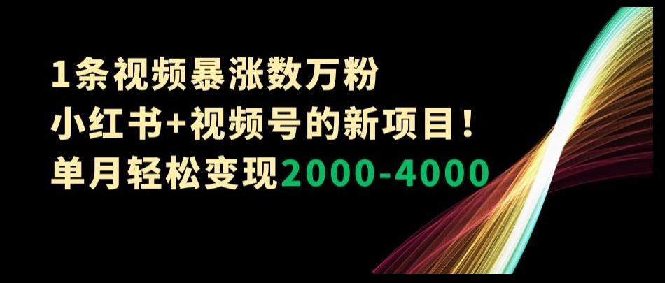 1条视频暴涨数万粉–小红书+视频号的新项目！单月轻松变现2000-4000【揭秘】-俗人圈网创