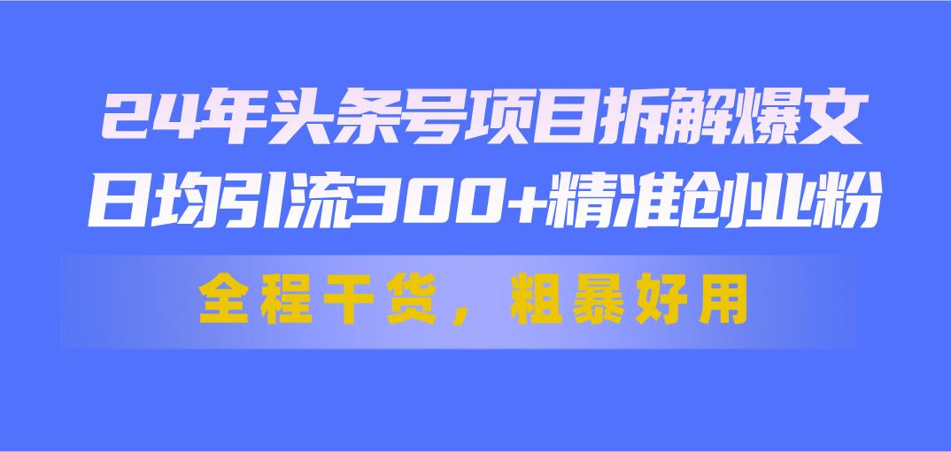 24年头条号项目拆解爆文，日均引流300+精准创业粉，全程干货，粗暴好用-俗人圈网创
