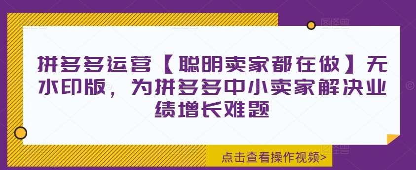 拼多多运营【聪明卖家都在做】无水印版，为拼多多中小卖家解决业绩增长难题-俗人圈网创