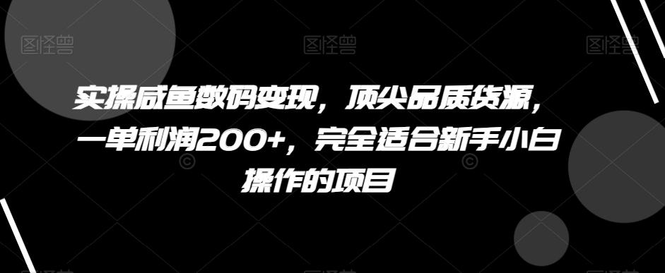 实操咸鱼数码变现，顶尖品质货源，一单利润200+，完全适合新手小白操作的项目【揭秘】-俗人圈网创