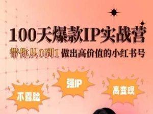 小红书100天爆款IP实战营，带你从0到1做出高价值的小红书号-俗人圈网创