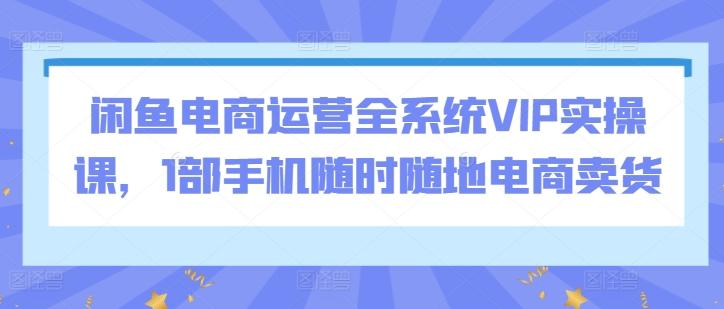 闲鱼电商运营全系统VIP实操课，1部手机随时随地电商卖货-俗人圈网创