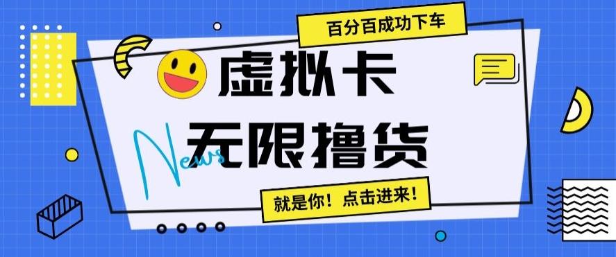 虚拟卡无限撸货，百分百成功下车【仅揭秘】-俗人圈网创