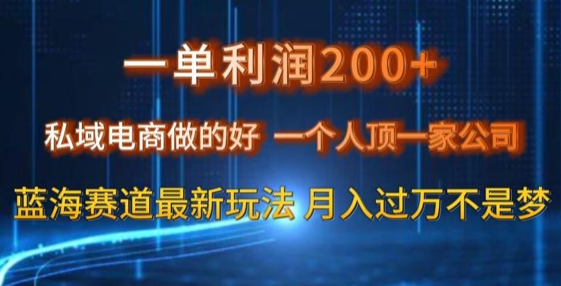 一单利润200私域电商做的好，一个人顶一家公司蓝海赛道最新玩法【揭秘】-俗人圈网创