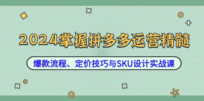 2024掌握拼多多运营精髓:爆款流程、定价技巧与SKU设计实战课-俗人圈网创