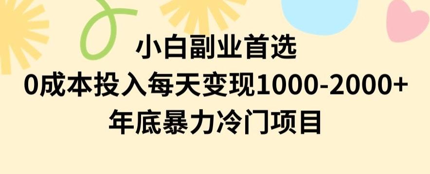 小白副业首选，0成本投入，每天变现1000-2000年底暴力冷门项目【揭秘】-俗人圈网创