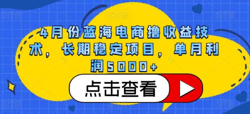 4月份蓝海电商撸收益技术，长期稳定项目，单月利润5000+【揭秘】-俗人圈网创