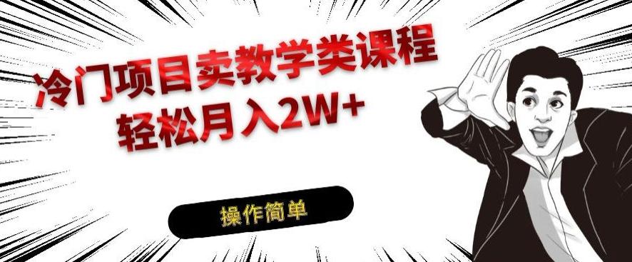 冷门项目卖教学类课程，轻松月入2W+-俗人圈网创