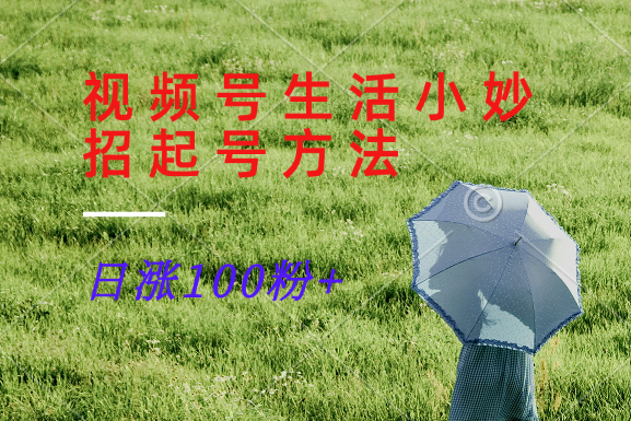 视频号生活小妙招分享赛道， 起号涨粉新方法，日涨100粉-俗人圈网创