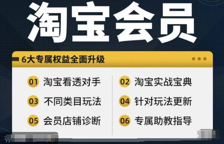 淘宝会员【淘宝所有课程，全面分析对手】，初级到高手全系实战宝典-俗人圈网创