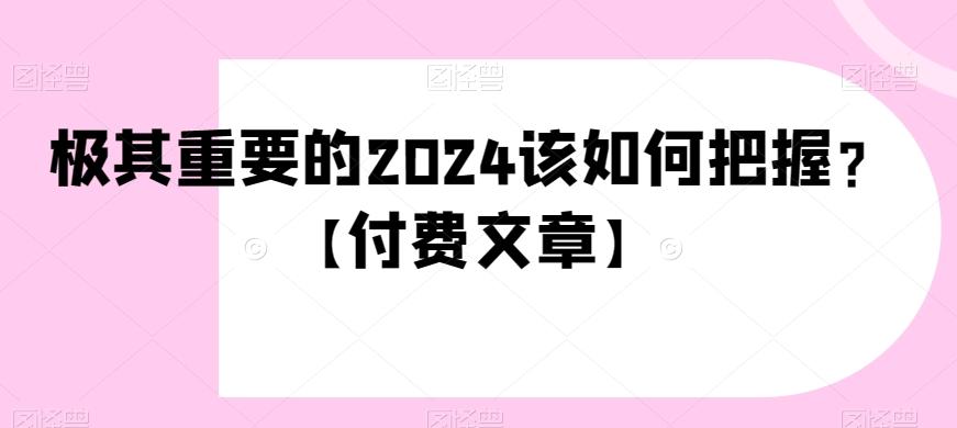 极其重要的2024该如何把握？【付费文章】-俗人圈网创