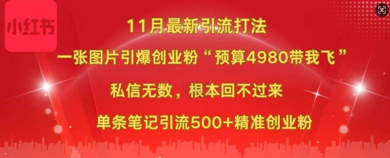 小红书11月最新图片打粉，一张图片引爆创业粉，“预算4980带我飞”，单条引流500+精准创业粉-俗人圈网创