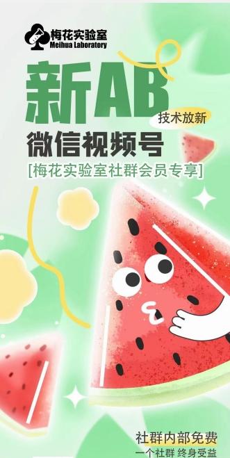 梅花实验室2024年AB技术视频号AB合成破解版-俗人圈网创