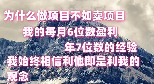 做项目不如卖项目，每月6位数盈利，年7位数经验-俗人圈网创