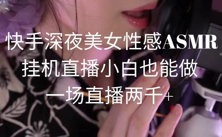 快手深夜美女性感ASMR挂机直播,小白也能做,一场直播两千+-俗人圈网创
