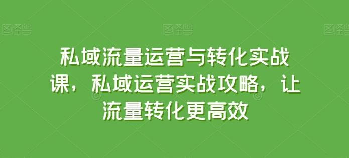 私域流量运营与转化实战课，私域运营实战攻略，让流量转化更高效-俗人圈网创