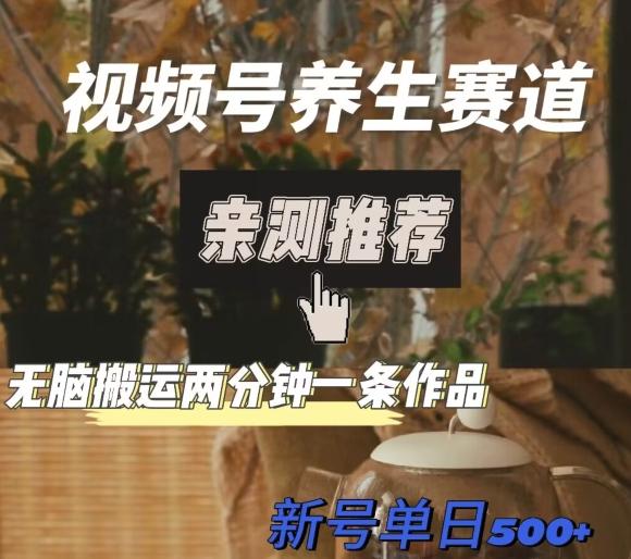 视频号养生赛道暴力掘金，无脑搬运，两分钟一条作品-新日单入500+-俗人圈网创