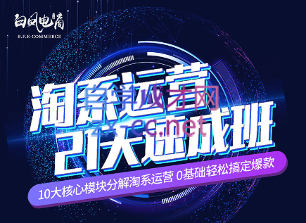 淘系运营21天速成班(更新24年6月)-俗人圈网创