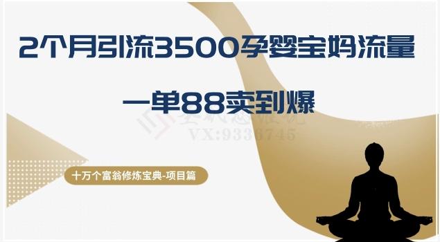 十万个富翁修炼宝典之13.2个月引流3500孕婴宝妈流量,一单88卖到爆-俗人圈网创